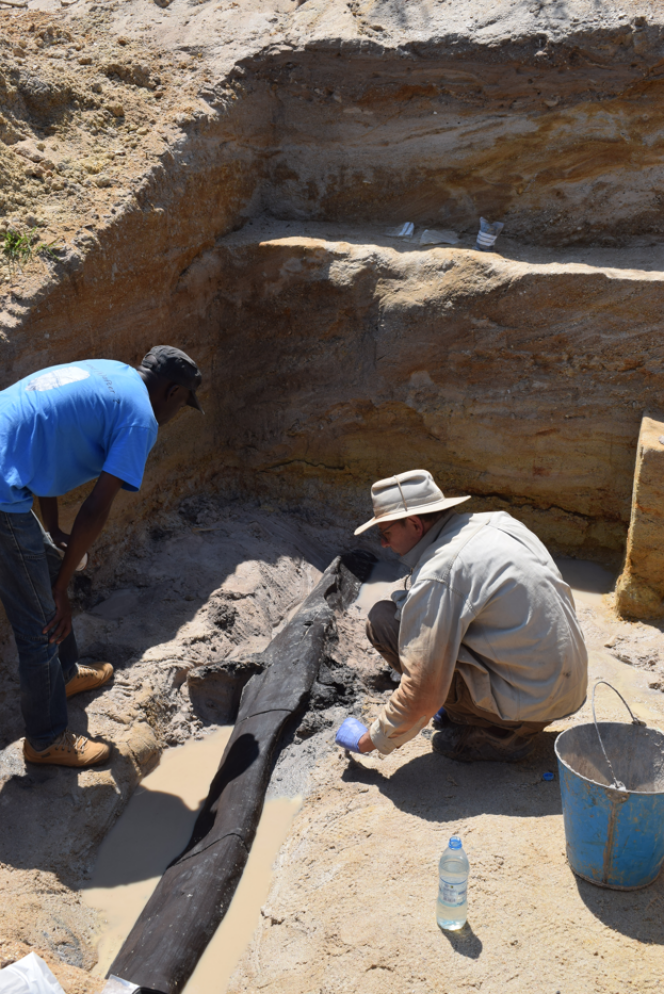 Lors des fouilles archéologiques en 2019, près de la rivière Kalombo, en Zambie, qui ont permis la découverte de la structure en bois datant de 476 000 ans.
