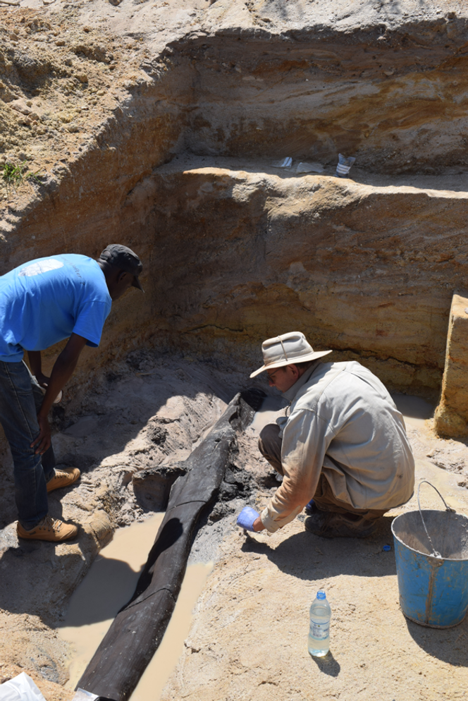 Durante gli scavi archeologici nel 2019 nei pressi del fiume Kalumbo in Zambia, che hanno portato alla scoperta della struttura in legno risalente a 476mila anni fa.