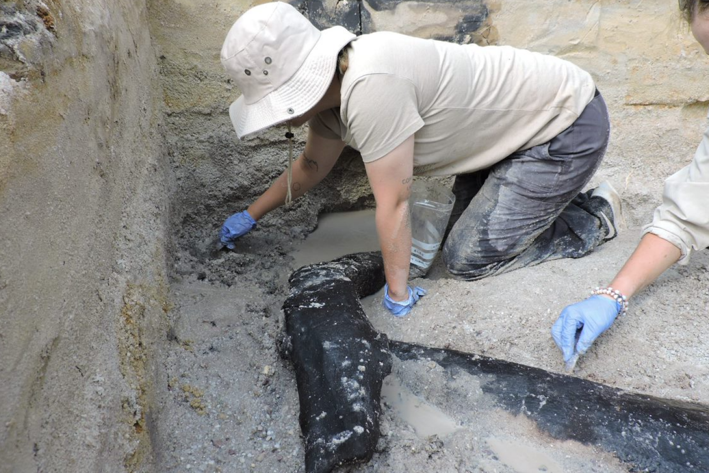 Una scoperta storica della struttura in legno più antica, vecchia di 476mila anni
