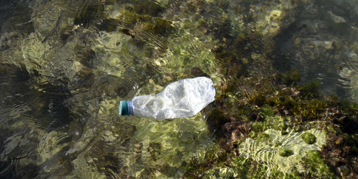 Mise en place éventuelle d'une consigne pour les bouteilles en plastique :  Les Français vont payer deux fois, déplore l'association Amorce