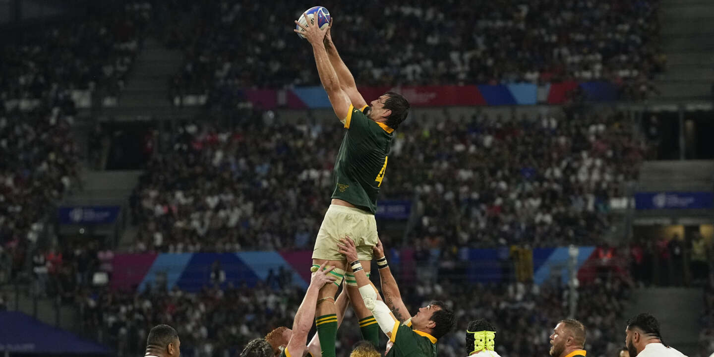 relive the Springboks’ victory against Tonga (49-18)