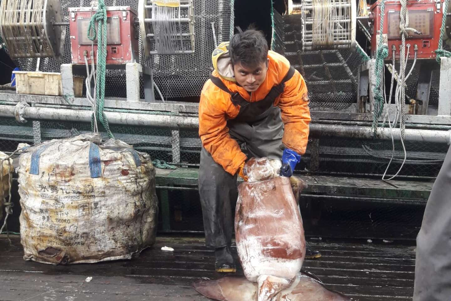 Chine Piège à appâts de pêche SMB personnalisé Fabricants d'accessoires de  pêche pliés portables, Usine - Échantillon gratuit - SHINGMORE