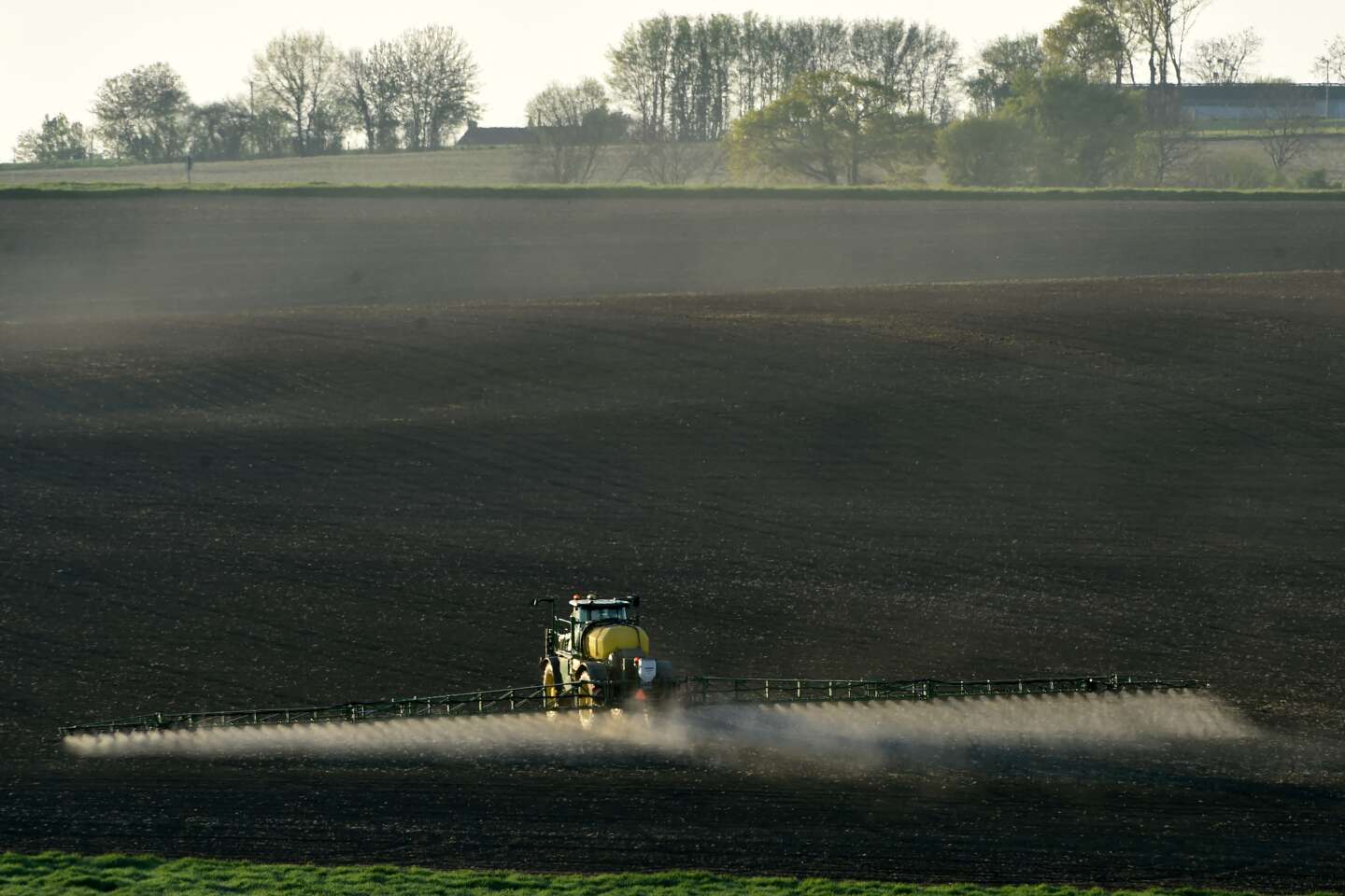 Prosulfocarbe : l’Anses restreint l’usage de l’herbicide en France