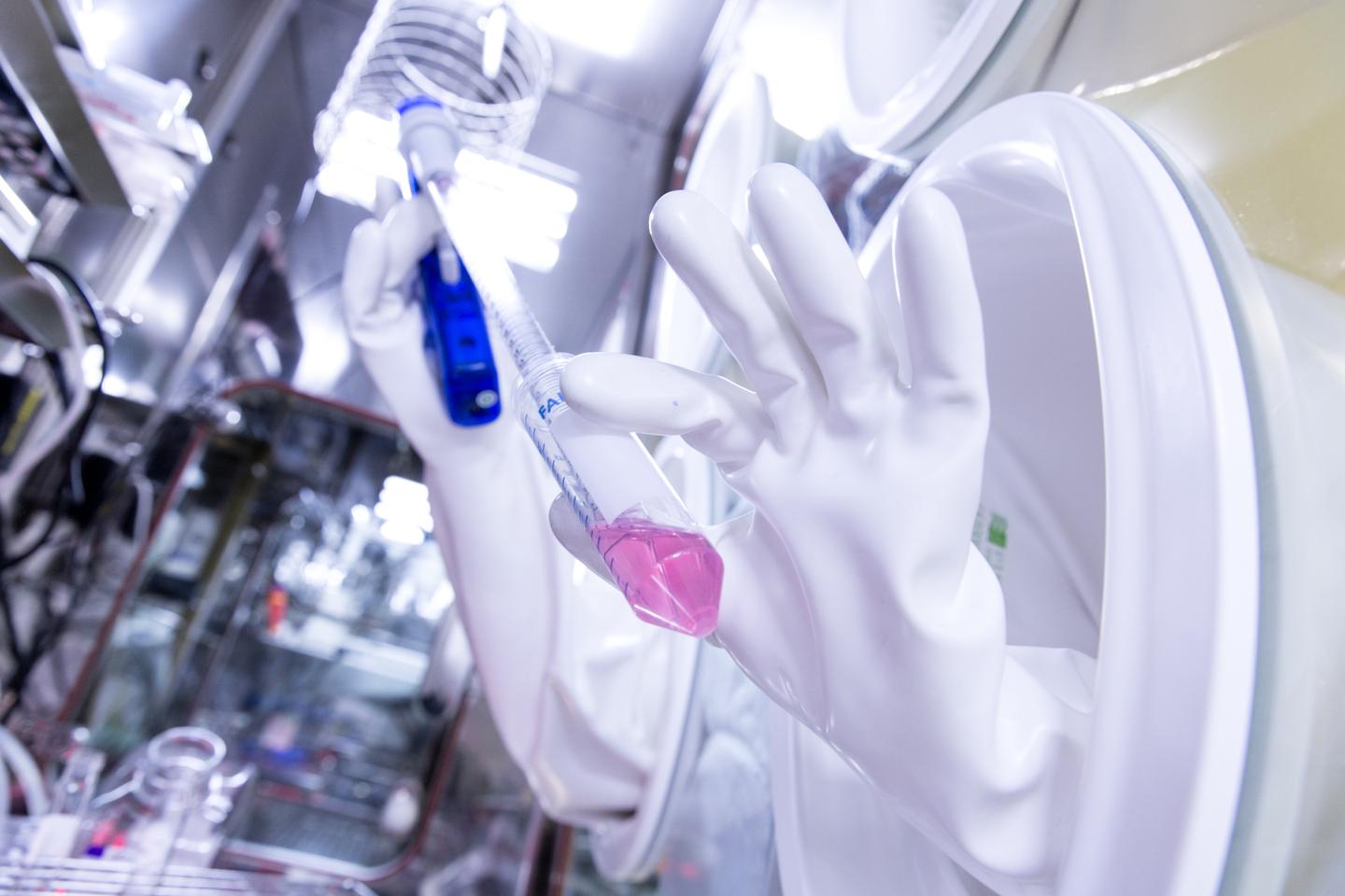 Cancers : l’espoir grandissant de vaccins thérapeutiques