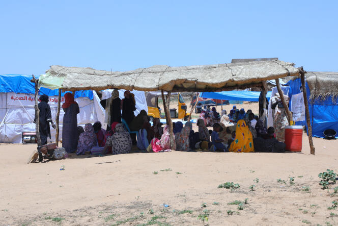 En un campo de refugiados cerca de Adré, Chad, 14 de agosto de 2023.