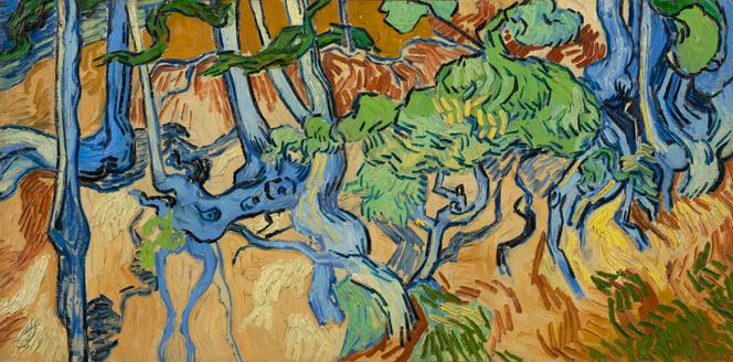 Van Gogh in Auvers sur Oise. The Final Months Revealing the