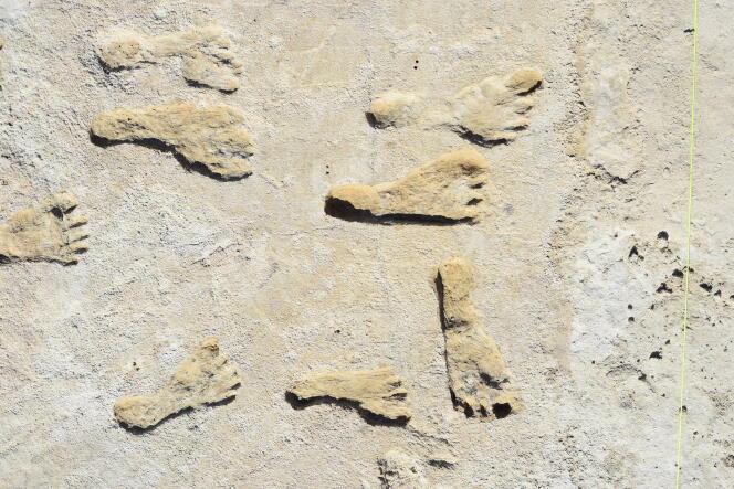 Fossil footprints in White Sands National Park, New Mexico (USA).