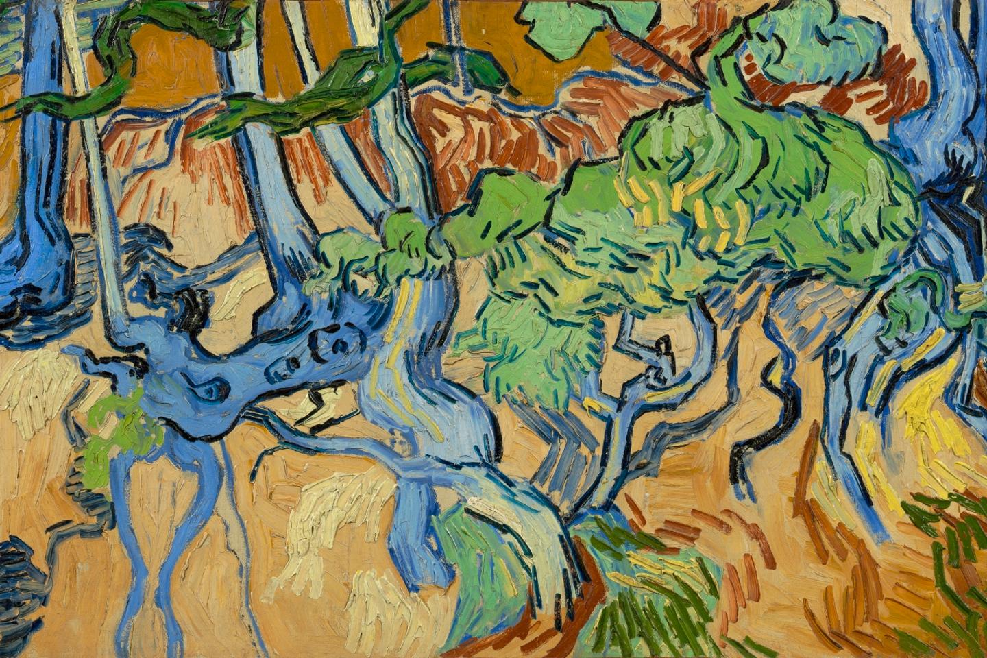 Van gogh fr hot sale