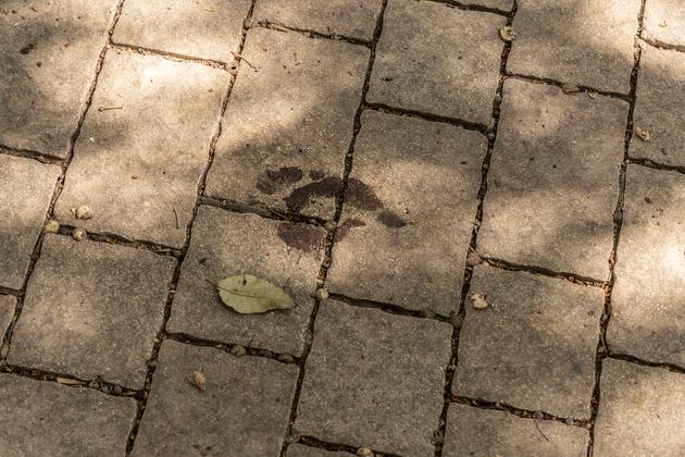 Bloody footprint on a sidewalk in Be'eri kibbutz, October 13, 2023. More than a hundred residents were killed on the kibbutz in the early hours of October 7 by Hamas fighters.