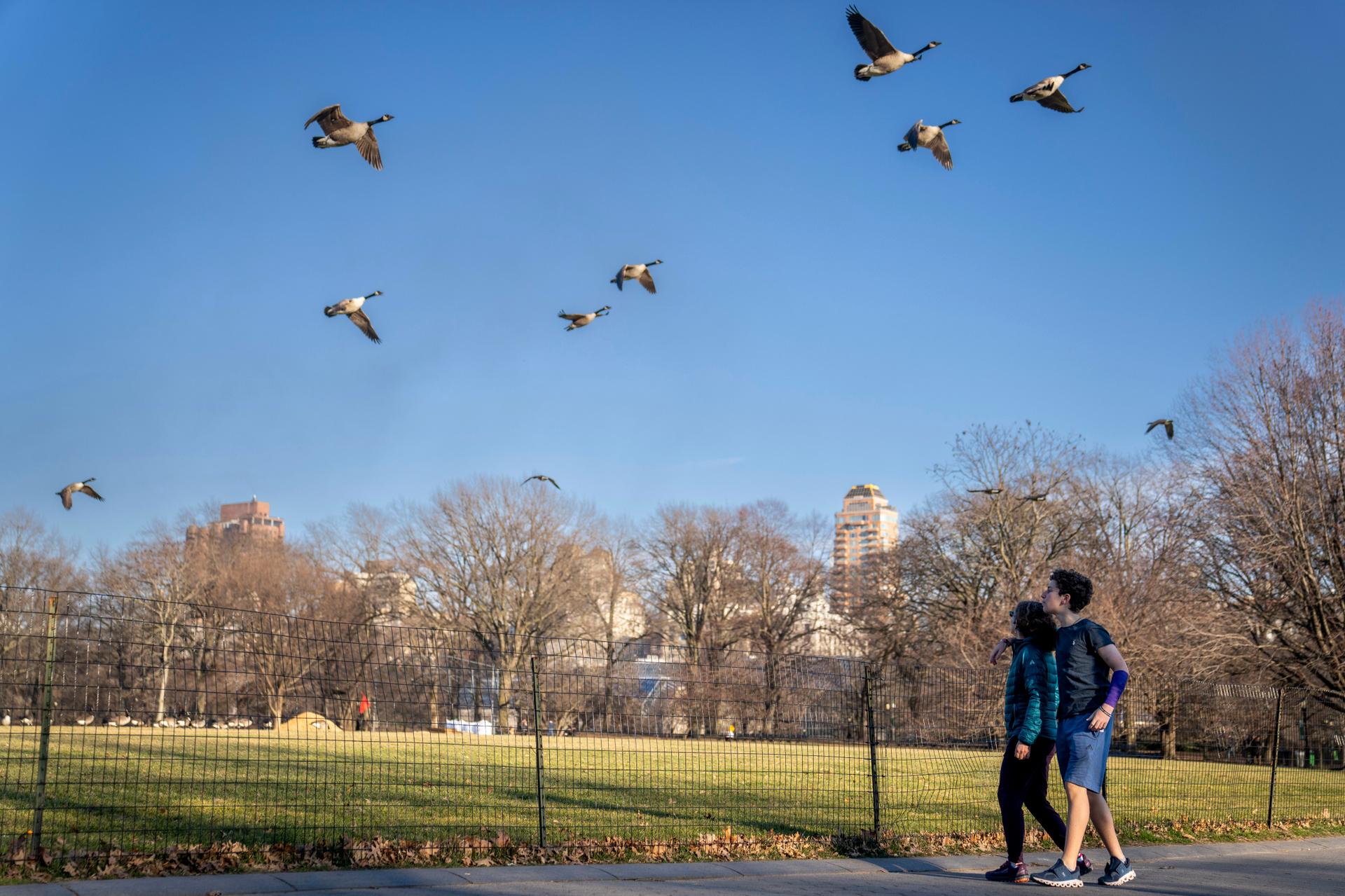 A Manhattan, New York, en janvier 2023.