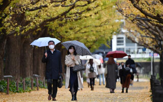 People walk past 300-meter-long ginkgo avenue at Meiji Jingu Gaien as rain falls in Minato Ward, Tokyo on Dec. 2nd, 2020. Ginkgo festival was canceled in order to prevent the spread of a new coronavirus (COVID-19). The autumn foliage has waned gradually since the winter time approaches. ( The Yomiuri Shimbun ) (Photo by Taketo Oishi / Yomiuri / The Yomiuri Shimbun via AFP)