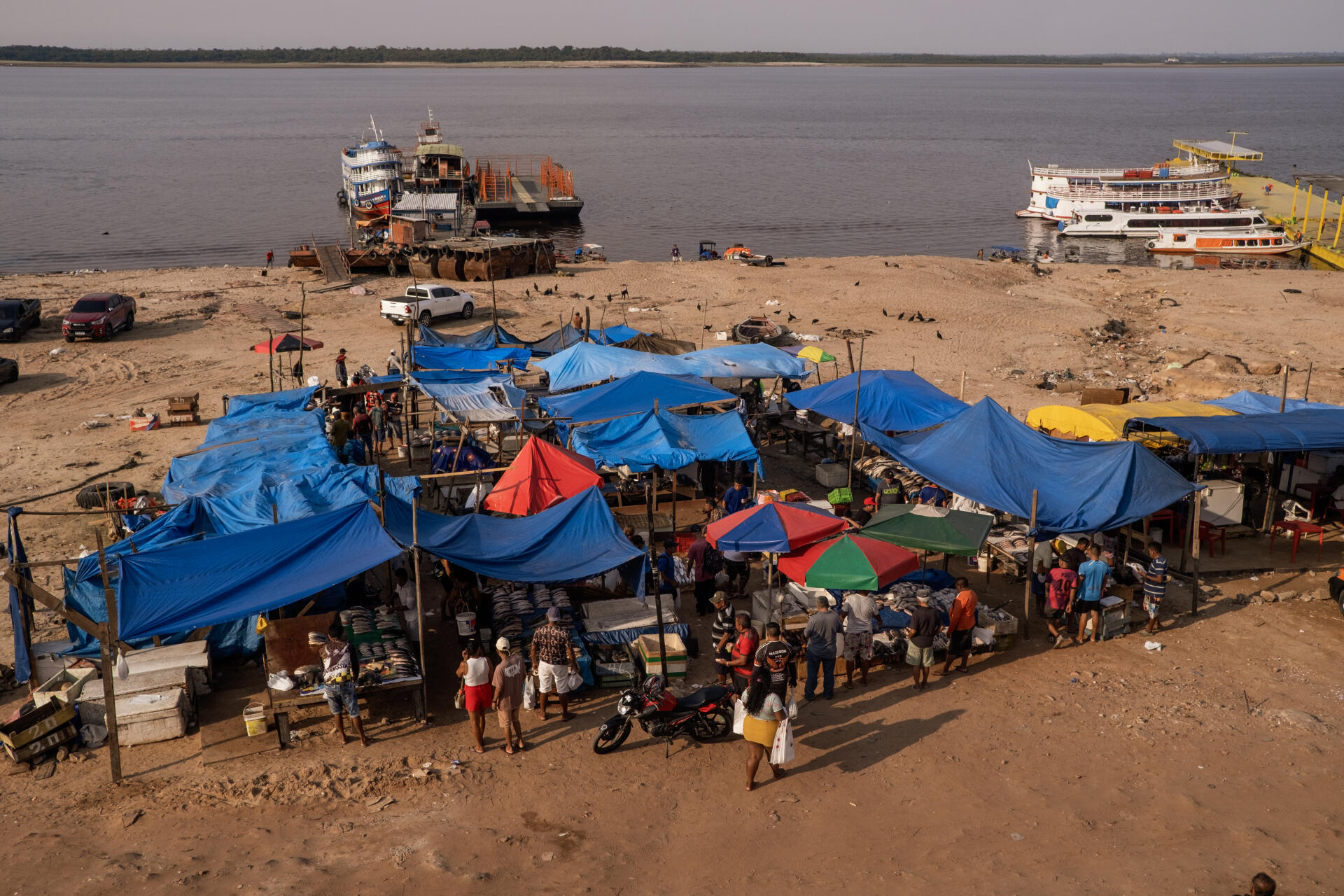 An informal fish market has sprung up on the banks of the Rio Negro in Manaus, Brazil, on October 21, 2023.
