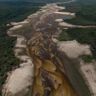 TUMBIRA, BRAZIL - OCTOBER 20, 2023: A glimpse of the arid banks of the Tumbira River, affected by the drought of the Negro River, within the Rio Negro Sustainable Development Reserve, located in Iranduba, Amazonas state, Brazil.