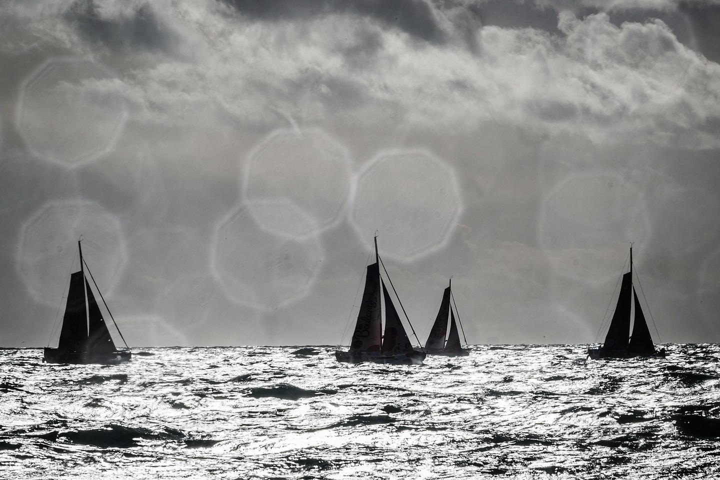 Transat Café L’Or : tout ce qu’il faut savoir sur l’ex-Transat Jacques...
