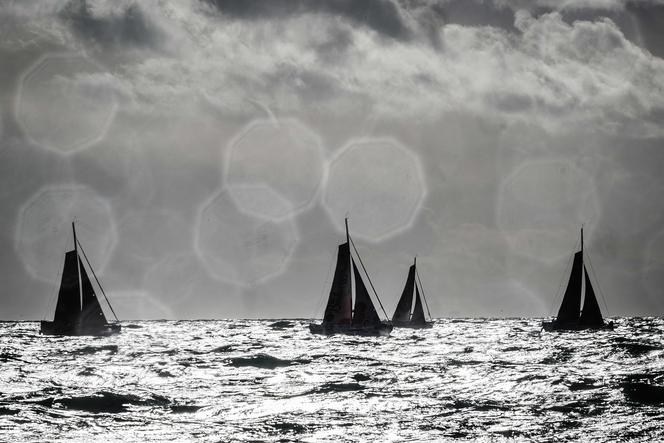 Les Class40, lors du départ de la 16ᵉ édition de la Transat Jacques Vabre, au Havre, le 29 octobre 2023. 