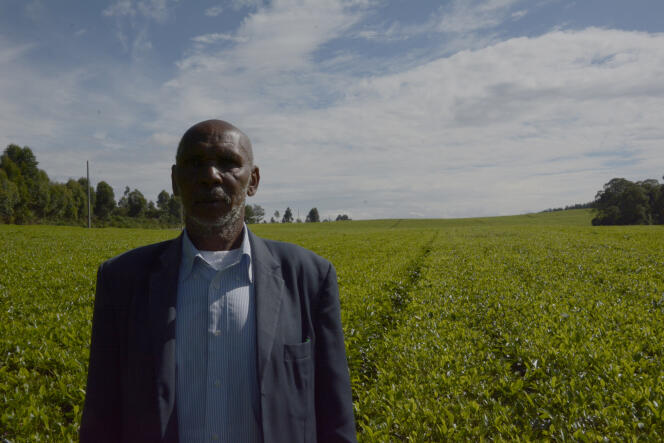 Joel Kimeto, a Kipsigi representative, in front of the tea plantation owned by the Scottish company James Finlay, in Kericho, October 30, 2023.