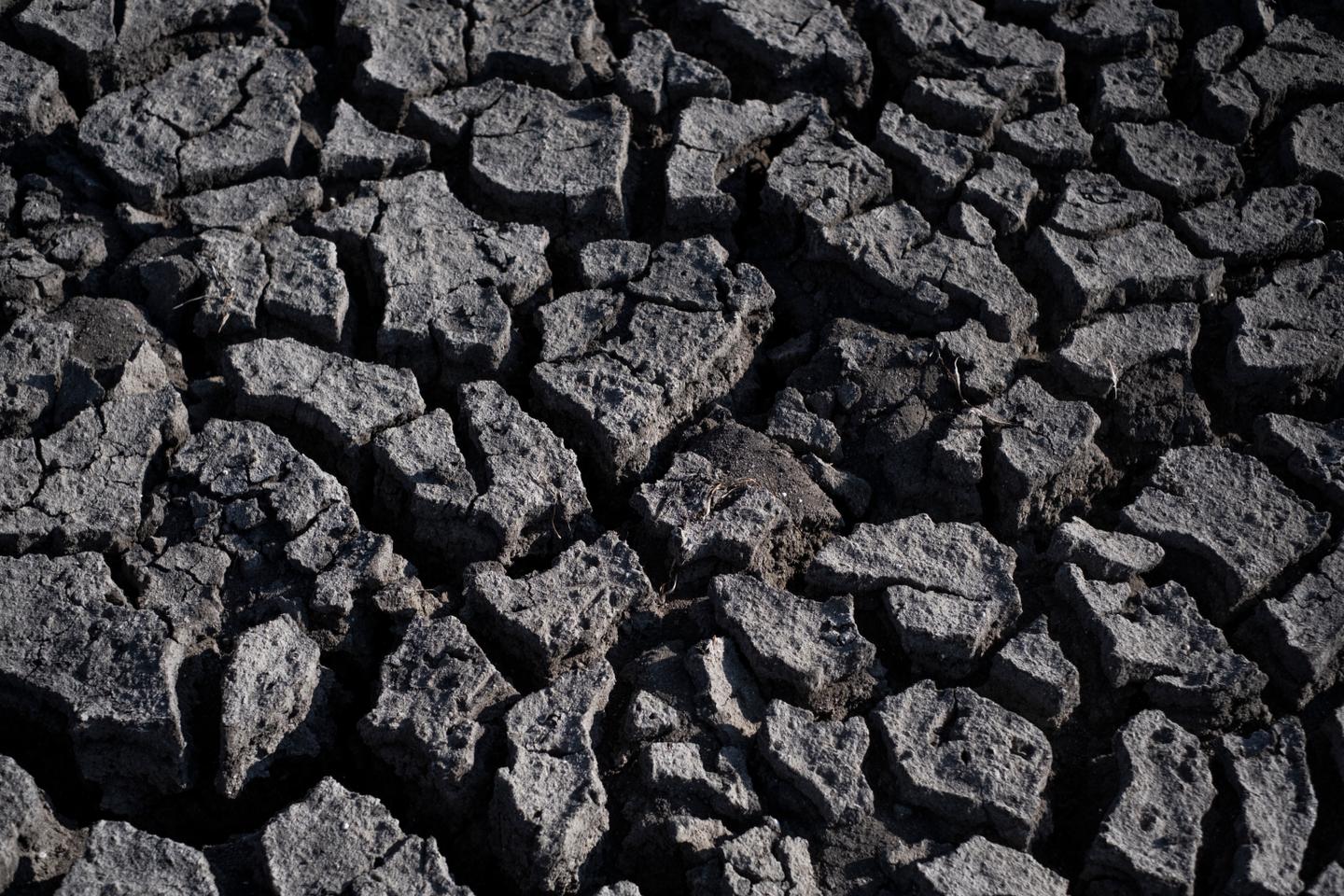 Record October temperatures globally as 2023 set to be hottest in history