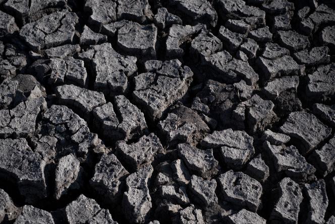 Images Le Monde.fr