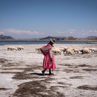 Images Le Monde.fr