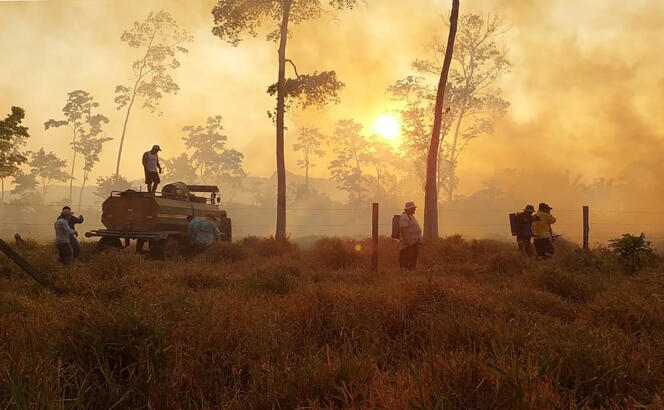 Voluntarios y bomberos combaten incendios que crecieron fuera de control a medida que se quemaban bosques y pastos con fines agrícolas alrededor de Rurrenabaque, departamento de Beni, Bolivia, el 26 de octubre de 2023.