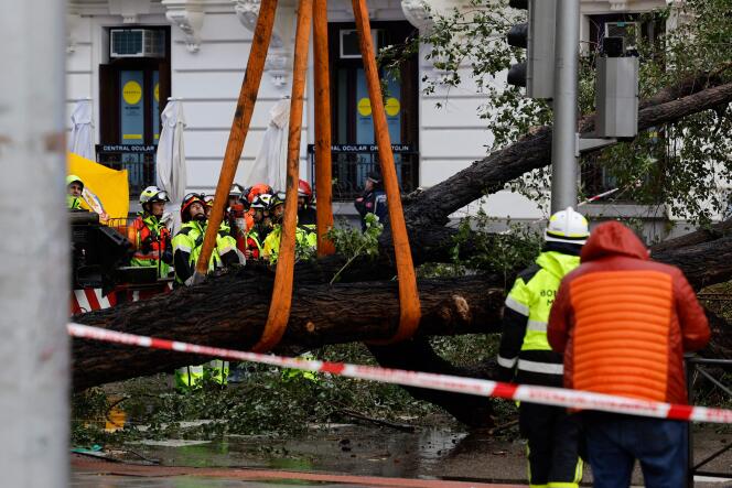 Bomberos y policías municipales trabajan alrededor de un árbol caído durante la tormenta del 2 de noviembre de 2023 en Madrid.