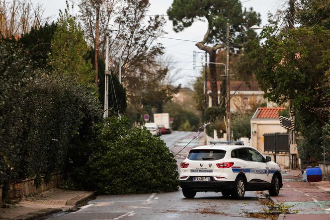Images Le Monde.fr