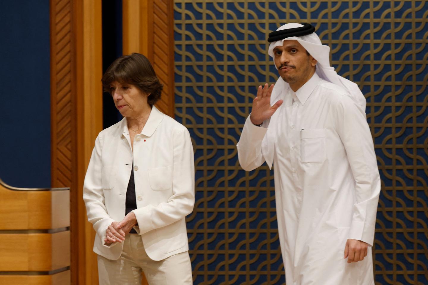 France urges 'immediate humanitarian truce' in Gaza war