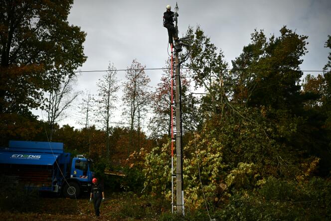 Un technicien d’Enedis répare une ligne électrique endommagée par des chutes d’arbres lors de la tempête Domingos, à Sallebœuf (Gironde), le 7 novembre 2023.