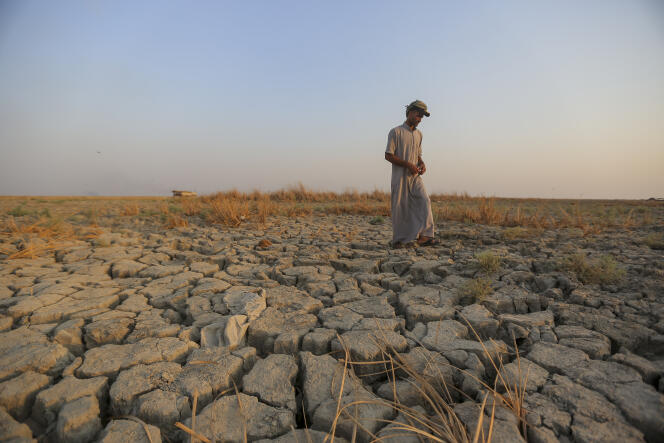 2022 年 9 月，伊拉克济加尔省。干旱影响了叙利亚、伊拉克和伊朗的数百万人。  
