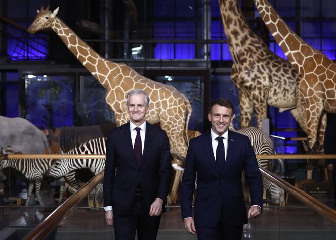 Images Le Monde.fr