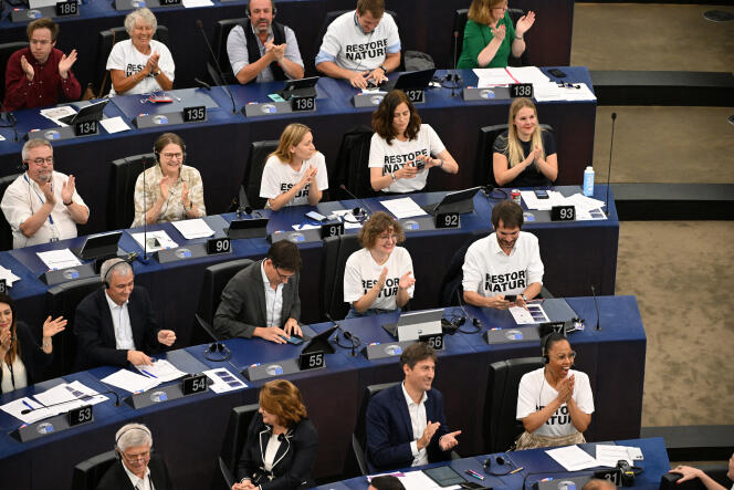 Des eurodéputés lors d’un vote sur la restauration de la nature, au Parlement européen, à Strasbourg, le 12 juillet 2023.