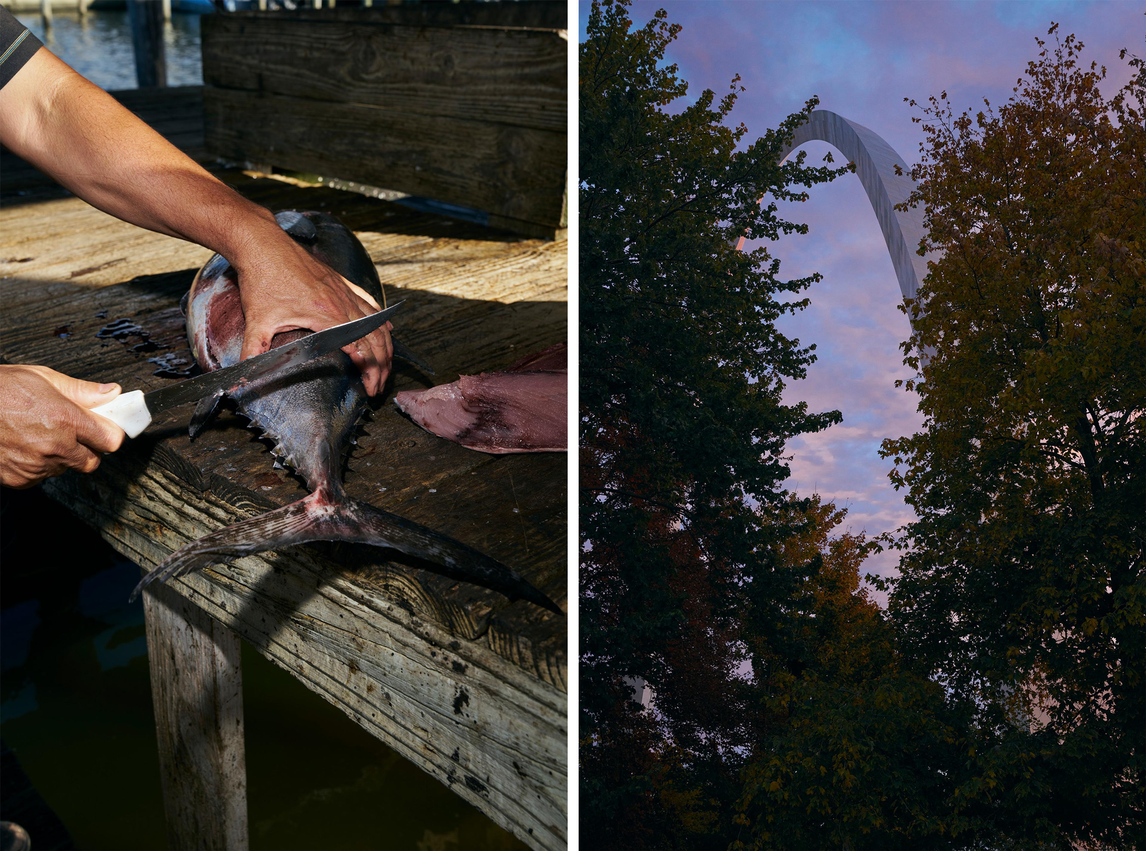 A la marina de Venice, en Louisiane, où le Mississippi rencontre le golfe du Mexique. A droite, à Saint-Louis (Missouri). Le 26 octobre 2023.