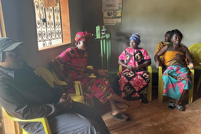 Des cultivatrices de njansang du village d’Ossembe, dans la région Centre, au Cameroun, le 7 novembre 2023.