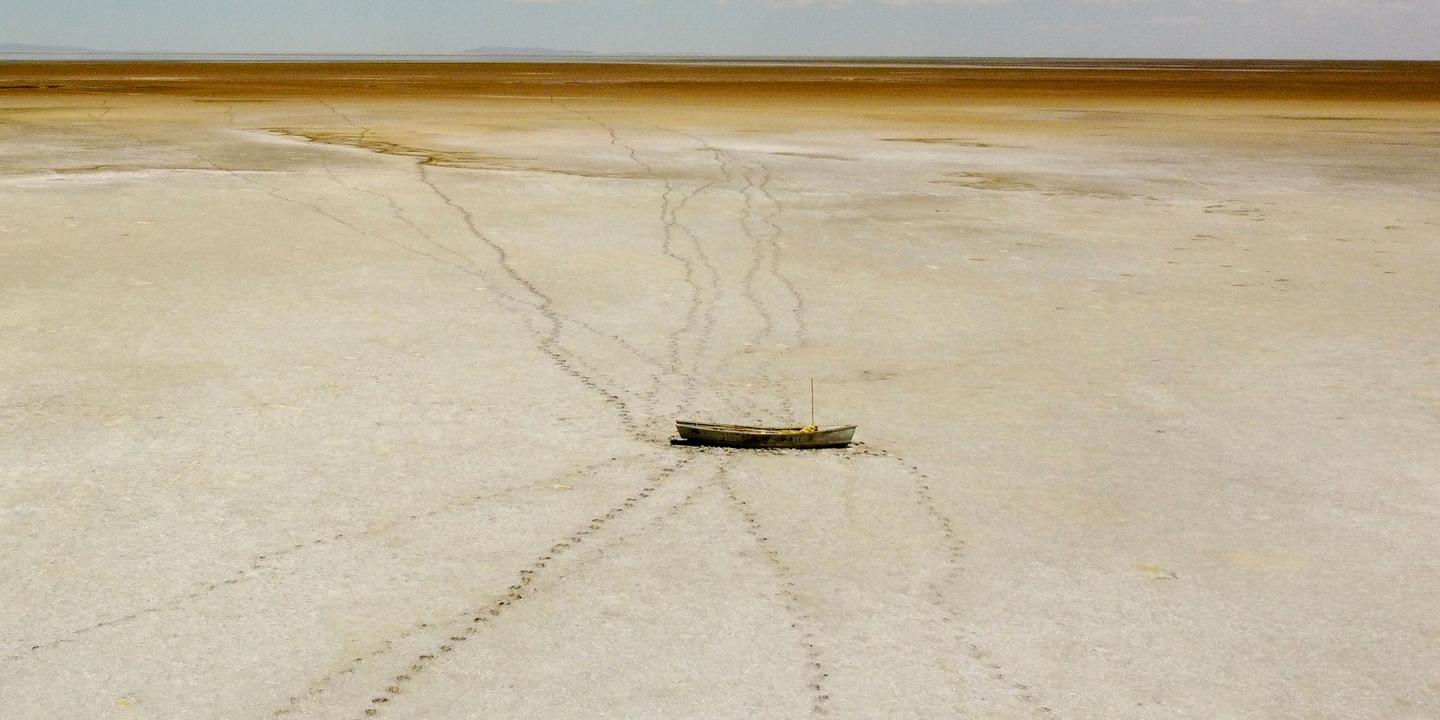 « Changement climatique, désertification et perte de biodiversité, il est urgent d’adopter une approche coordonnée »