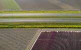 Early morning view of road through fields in coastal area of The Netherlands in spring.