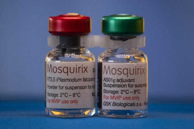Le vaccin contre le paludisme RTS,S, développé par le groupe pharmaceutique britannique GSK.