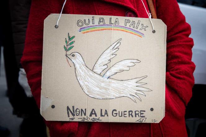 Lors d’une manifestation à Saint-Brieuc, en novembre 2023.