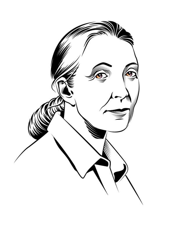 Jane Goodall.
