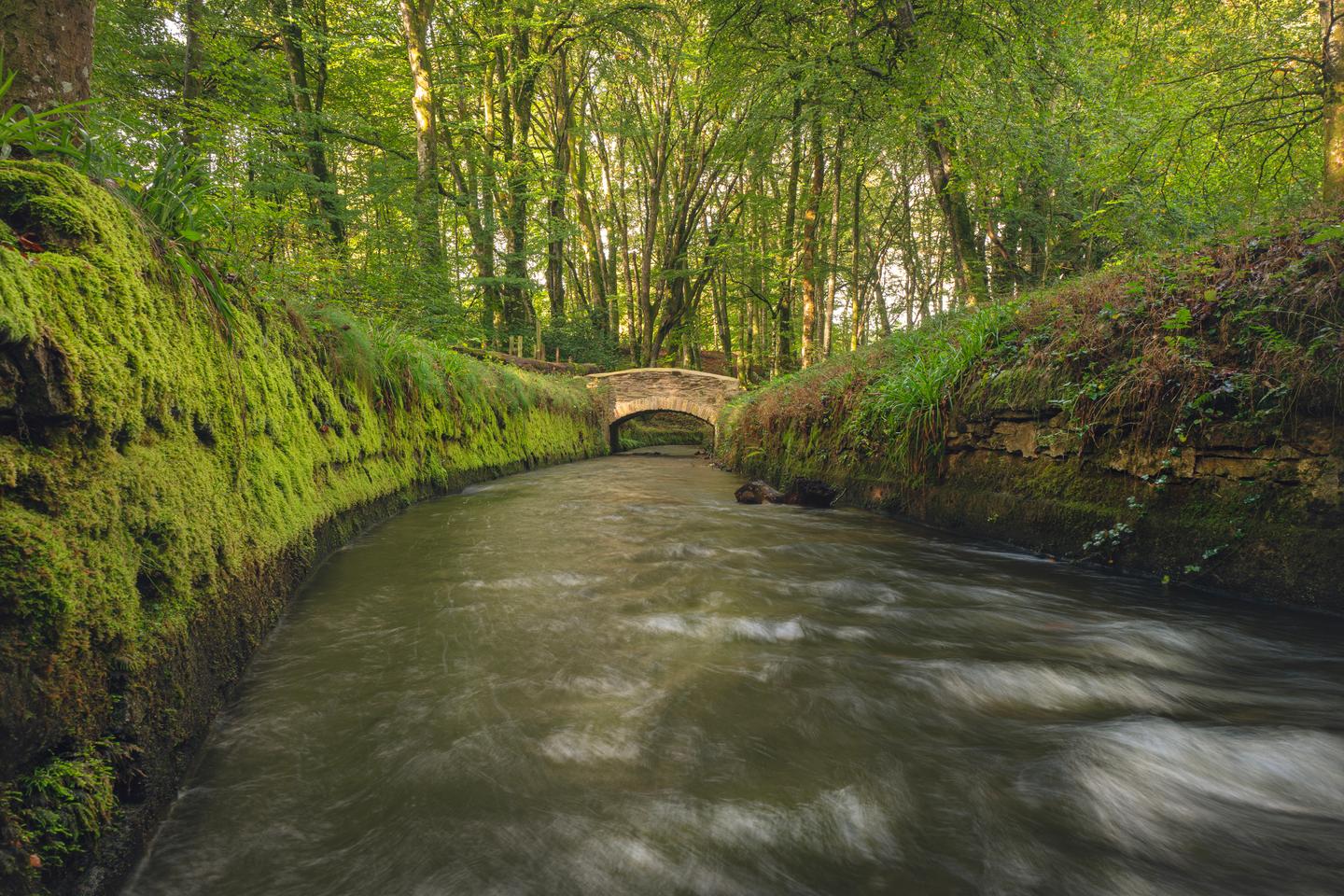 Le Monde's top 10 destinations | #3 France's intriguing Black Mountain