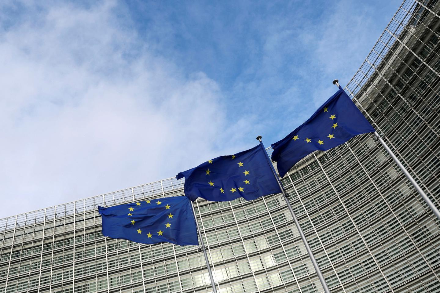 'The closer the European elections get, the more they seem like a referendum for or against the EU'