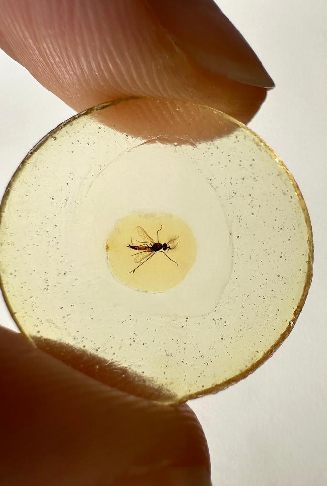 Images Le Monde.fr