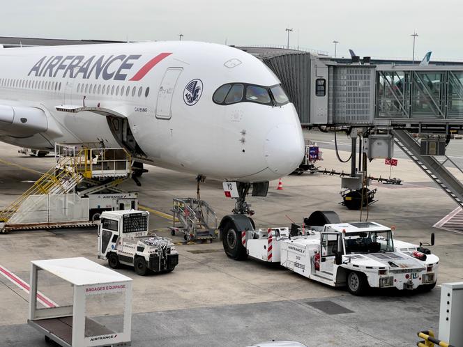 Quand les avions mettent le nez dans les m thaniseurs