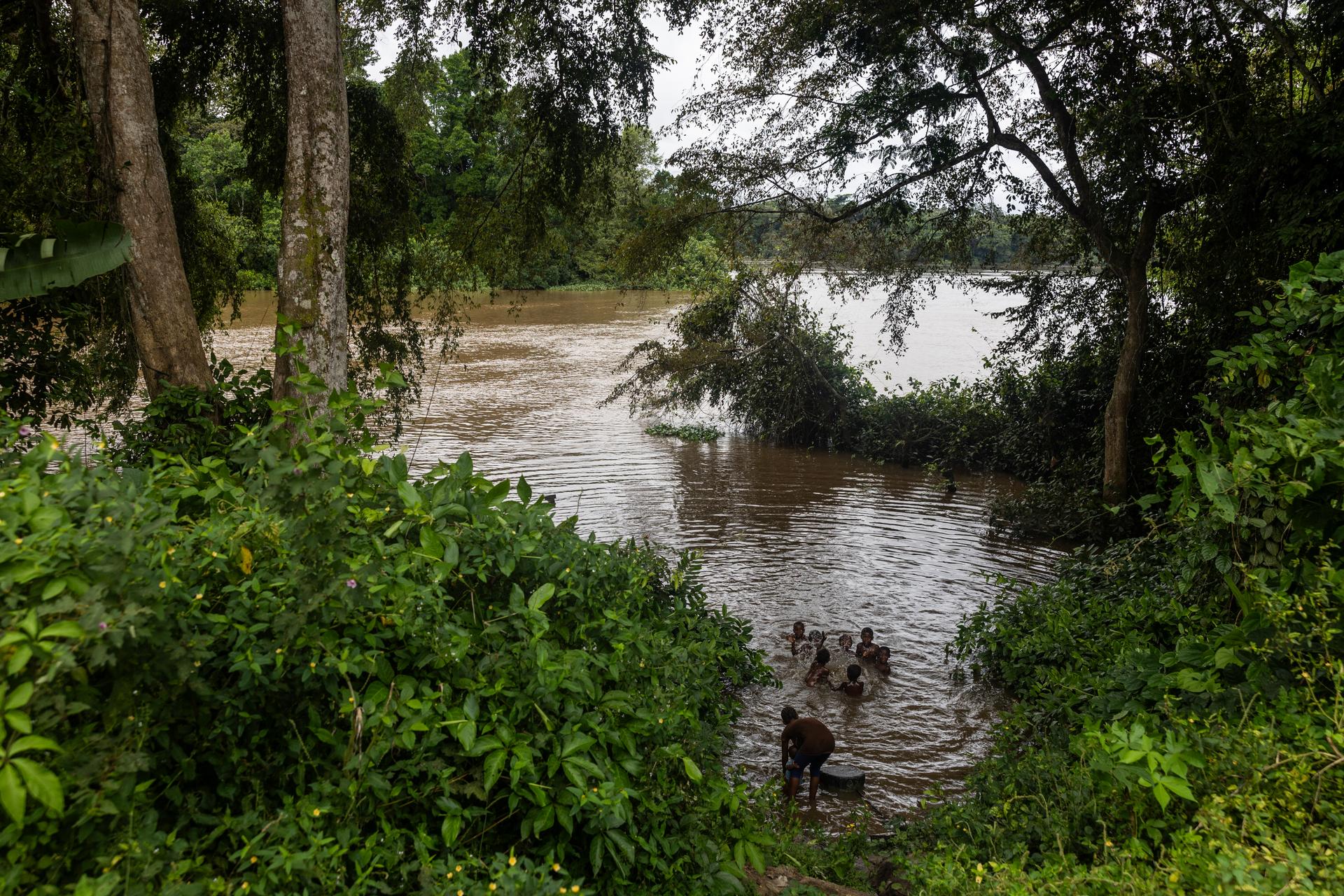 Located on the edge of the Nouabalé-Ndoki National Park (NNNP) in northern Congo-Brazzaville, the village of Bon Coin is mainly inhabited by indigenous Bayaka people. 
