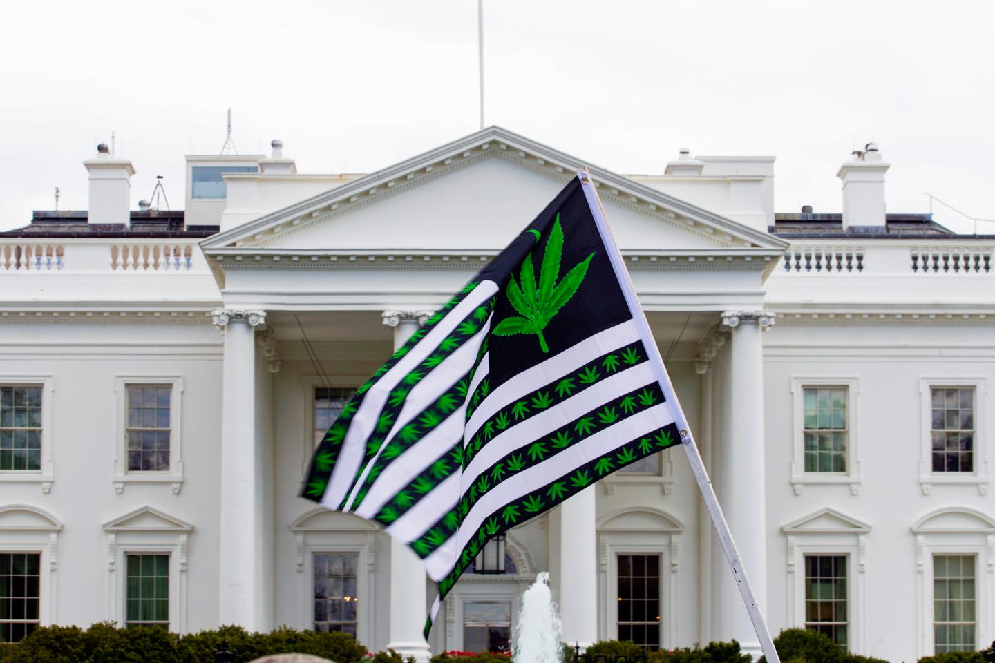 Biden pardons thousands convicted of marijuana charges on federal lands and in Washington