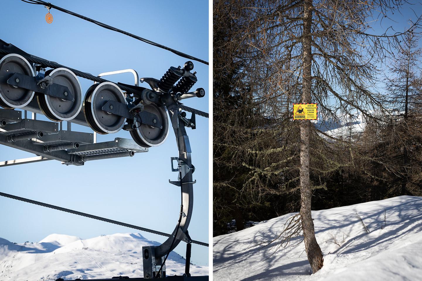 How ski resorts are trying to better protect biodiversity