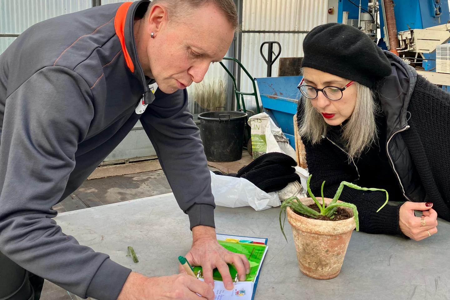カシャン植物クリニックでは植物を救います