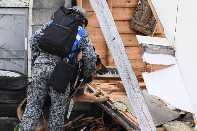 Ένας σκύλος βοηθά στην αναζήτηση επιζώντων από σεισμό στην πόλη Wajima, Ιαπωνία, 5 Ιανουαρίου 2024.