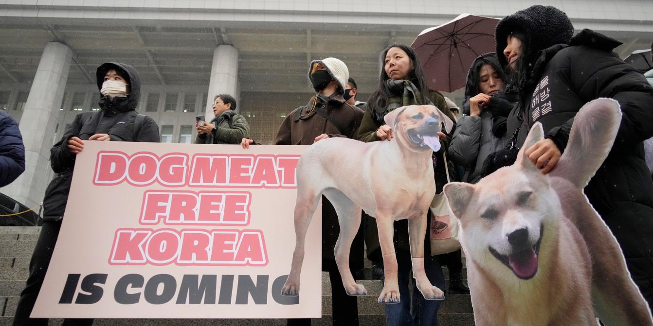 South Korea National Assembly passes bill banning dog meat trade