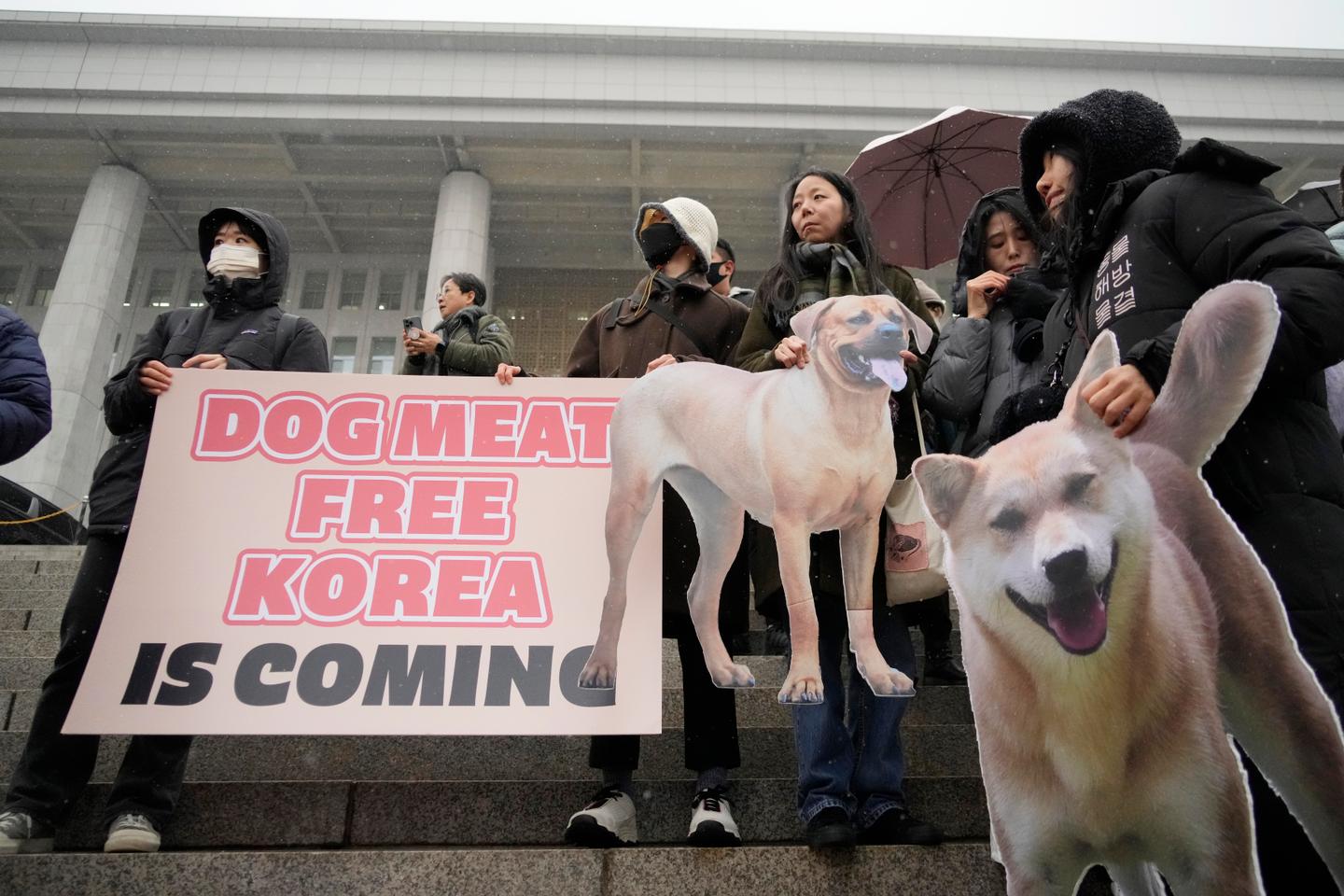 South Korea National Assembly passes bill banning dog meat trade