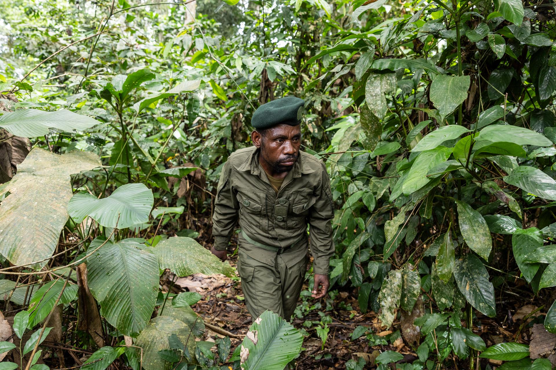 Thanks to their ancestral knowledge of the forest, indigenous eco-guards are a major asset for Nouabalé-Ndoki National Park in northern Congo-Brazzaville.